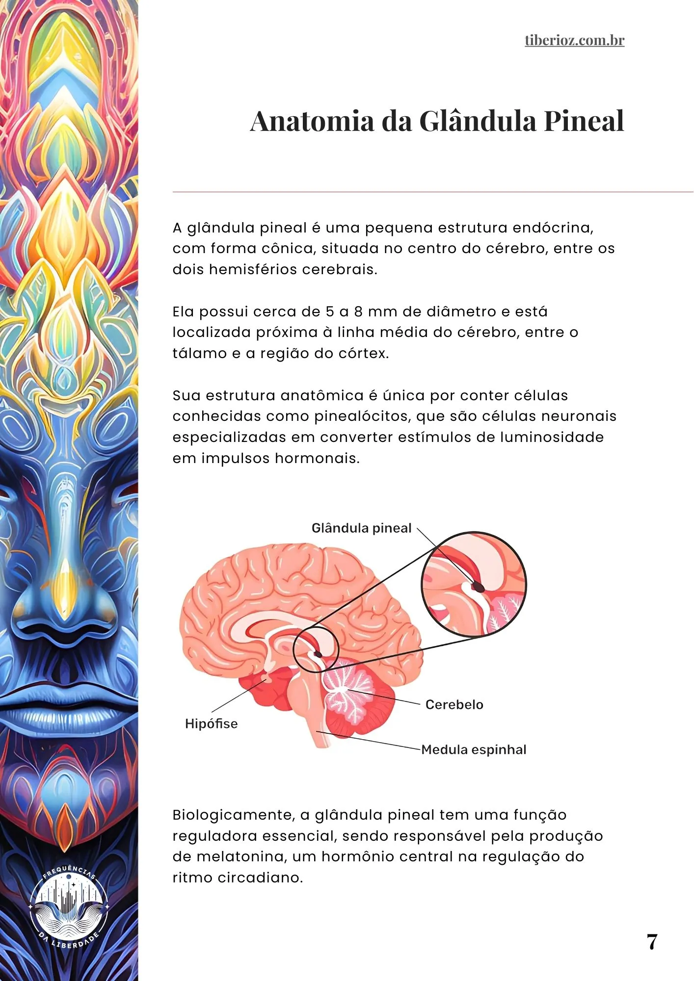Olho_5.webp